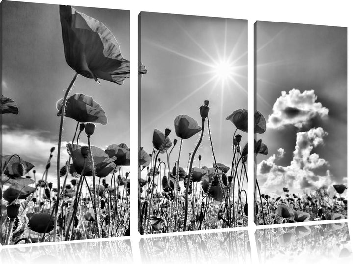 Pixxprint Mohnblumen als Leinwandbild | Grösse: 3 Teilig (120x80) | Wandbild| Kunstdruck | fertig be