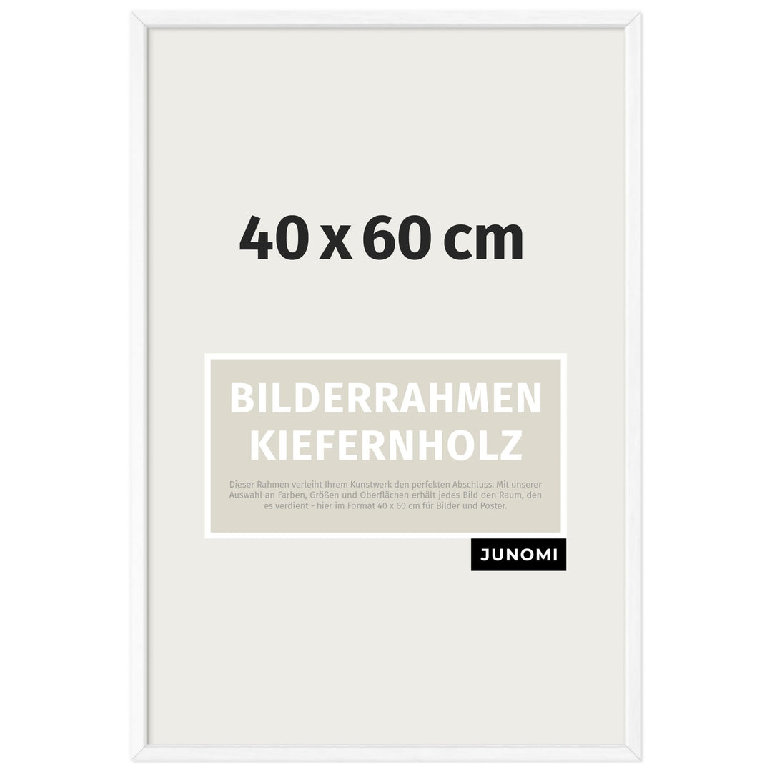 Bilderrahmen 40x60 cm Holz | Farbe Weiss | Posterrahmen mit bruchsicherem Acrylglas | Hoch- & Querfo