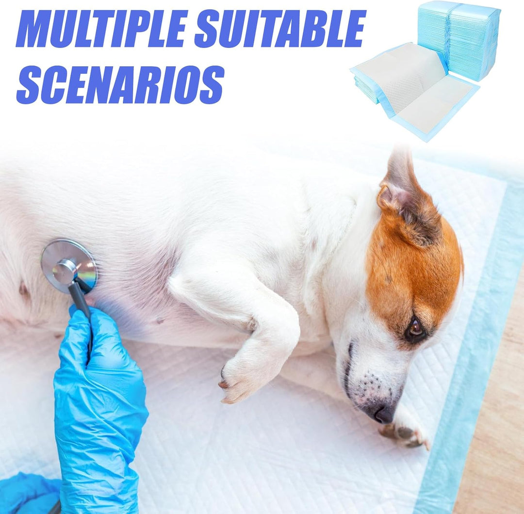 100 Stück PIPI Matten für Hunde: 33×45cm Trainingspads Auslaufsicheres 6-Lagiges Design mit Schnell
