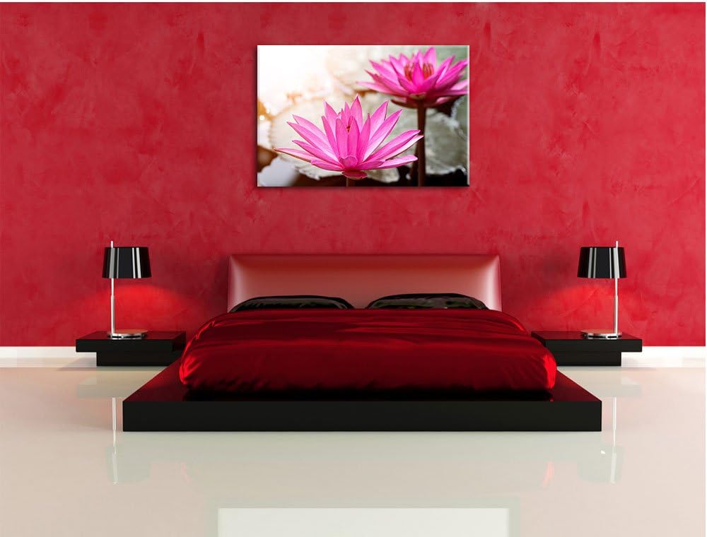 Lilafarbene Wasserlilie, Format: 100x70 auf Leinwand, XXL riesige Bilder fertig gerahmt mit Keilrahm