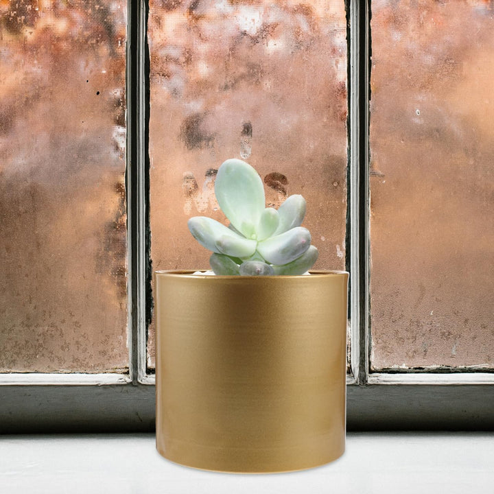 Eisen Pflanztopf Moderner Metall Dekorative Pflanzgefäss Metall Blumentopf mit Entwässerungsloch, Ru