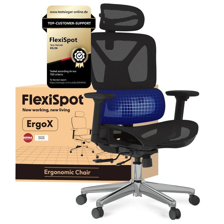 FLEXISPOT Ergonomischer Bürostuhl Schreibtischstuhl, 3D-Armlehnen, 3D-Kopfstütze, 5D-verstellbare Rü