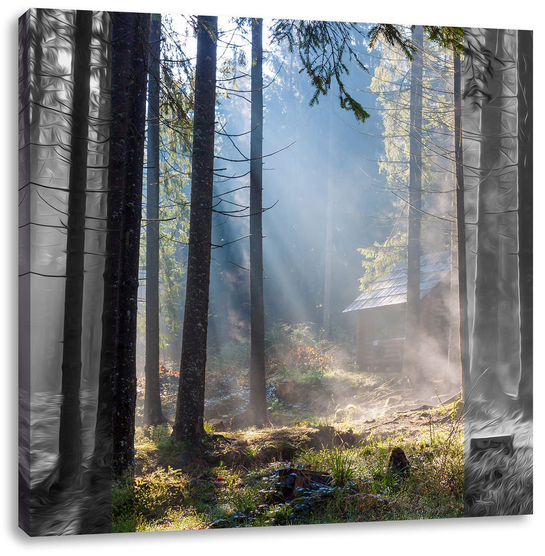 Pixxprint Häuschen im Wald mit Sonnenstrahlen schwarz/weiss, Format: 70x70 als Leinwandbild, 70x70
