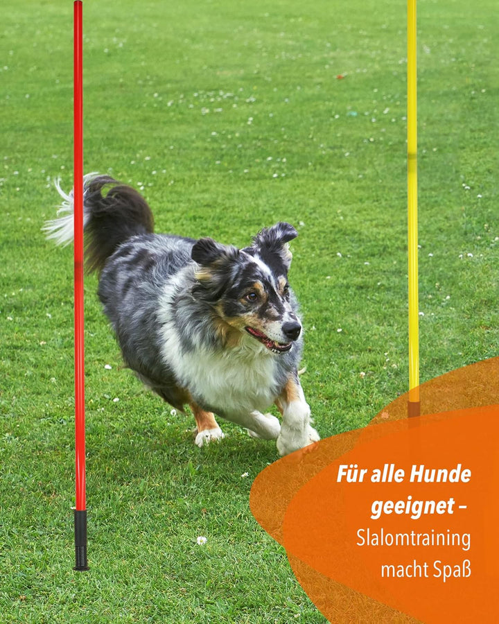 Kombi-Hülse aus Kunststoff mit Kippgelenk & Slalomstange 180 cm – 4er Set – Stange für Slalom & Koor