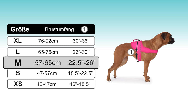 Hundegeschirr mit 3 Metallösen zur Befestigung Ihrer Brust oder Ihres Brustgurts, um Ihren Hals Nich