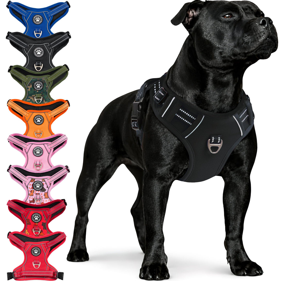 Reichstadt Pets Hundegeschirr Mini Hunde 25RSP083 Black XS | Verstellbares No-Pull Geschirr mit Grif