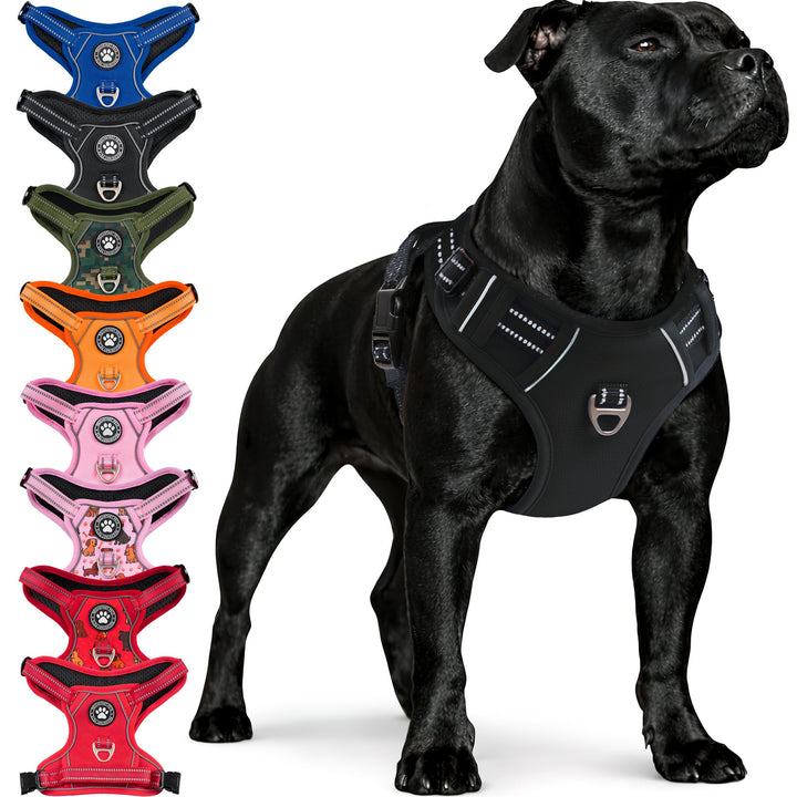 Reichstadt Pets Hundegeschirr Mini Hunde 25RSP083 Black XS | Verstellbares No-Pull Geschirr mit Grif
