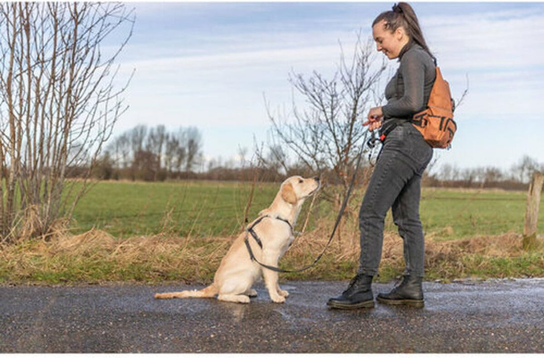Trixie Rolltop Tasche für Haustiere, Orange, Marke: Trixie - EAN: 4047974288672