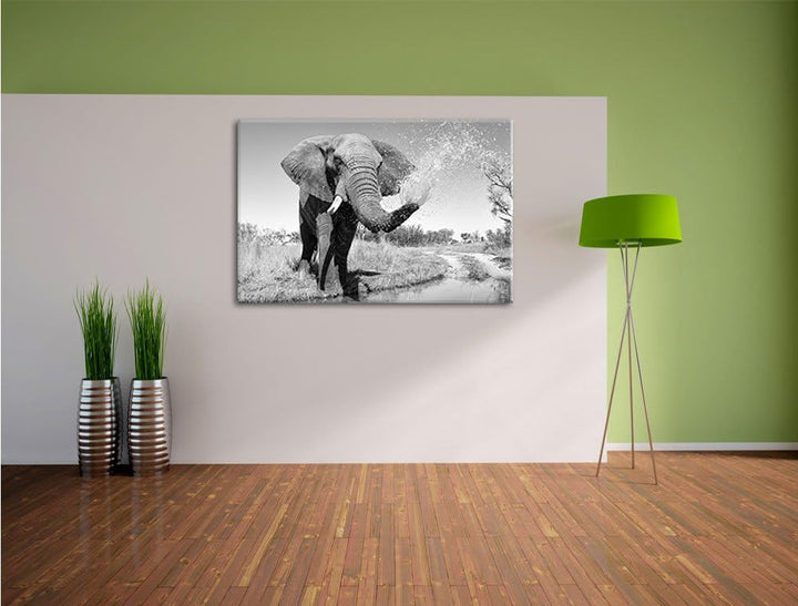 Pixxprint schöner Elefant spritzt mit Wasser Kunst B&W, Format: 100x70 auf Leinwand, XXL riesige Bil