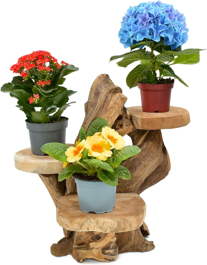 Möbelbörse Teak Blumenständer mit 3 Ablagen Blumenpodest Pflanzentreppe Blumenregal Ständer Blumenho
