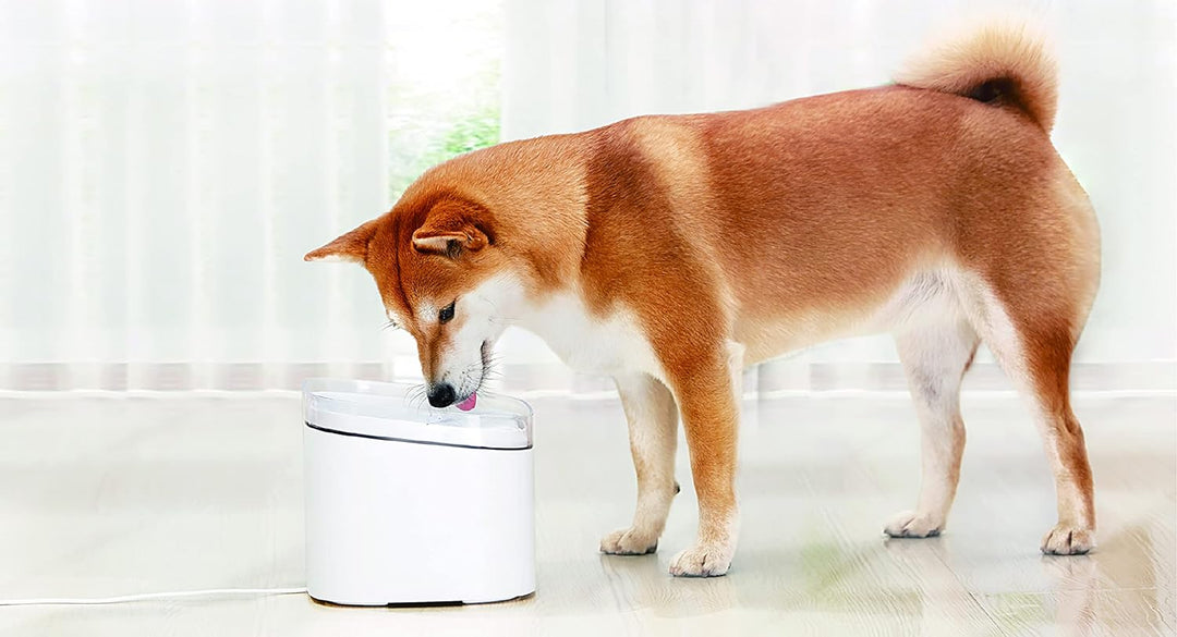 Xiaomi Smart Pet Water Fountain Automatischer Trinkbrunnen für Katzen & Hunde (4-fache Tiefenfilteru