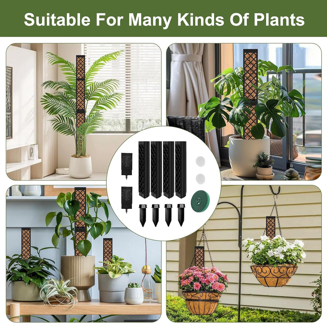 Moosstab für Monstera Rankhilfe Zimmerpflanzen, 4 PCS 25cm Selbstbewässerung moosstab, Monstera Pfla