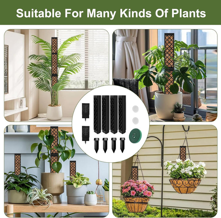 Moosstab für Monstera Rankhilfe Zimmerpflanzen, 4 PCS 25cm Selbstbewässerung moosstab, Monstera Pfla