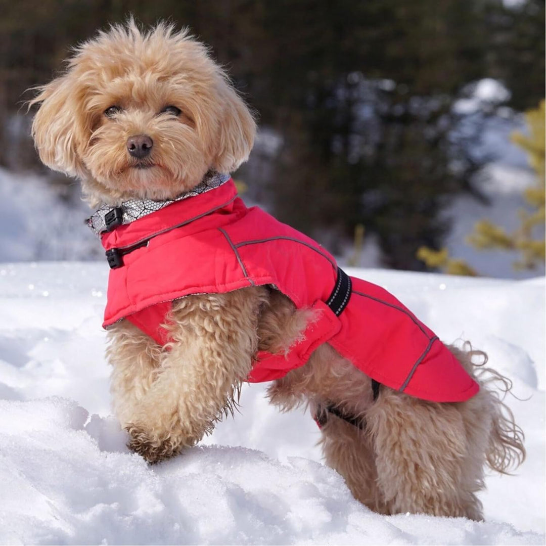 Croci C7081878 Hiking K2 Wintermantel, wasserdicht, wärmeausgleichend, für Hunde, Rosa (Fuchsia), 65
