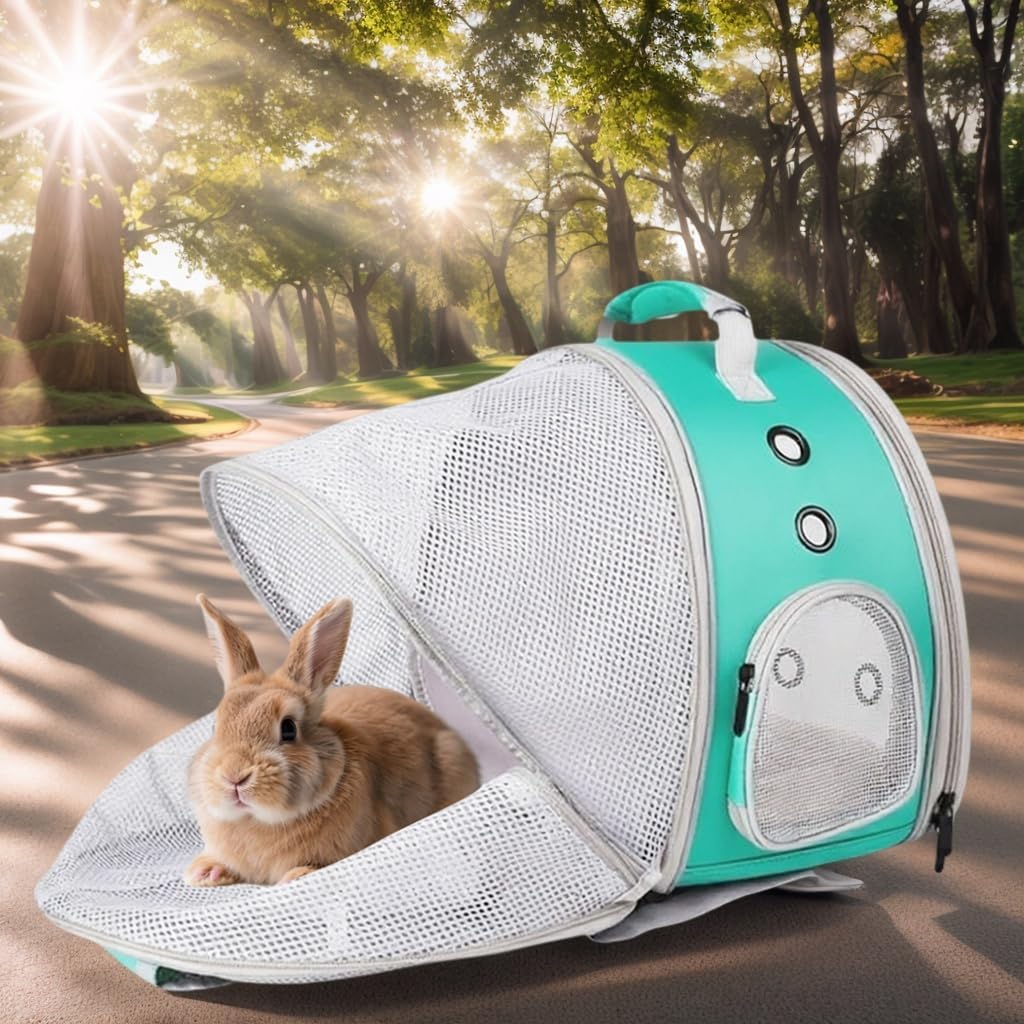 Kleintiertransporter Tragbare kleine Tier Rucksack Reise atmungsaktive Haustier Trägertasche Käfige