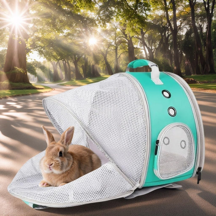 Kleintiertransporter Tragbare kleine Tier Rucksack Reise atmungsaktive Haustier Trägertasche Käfige