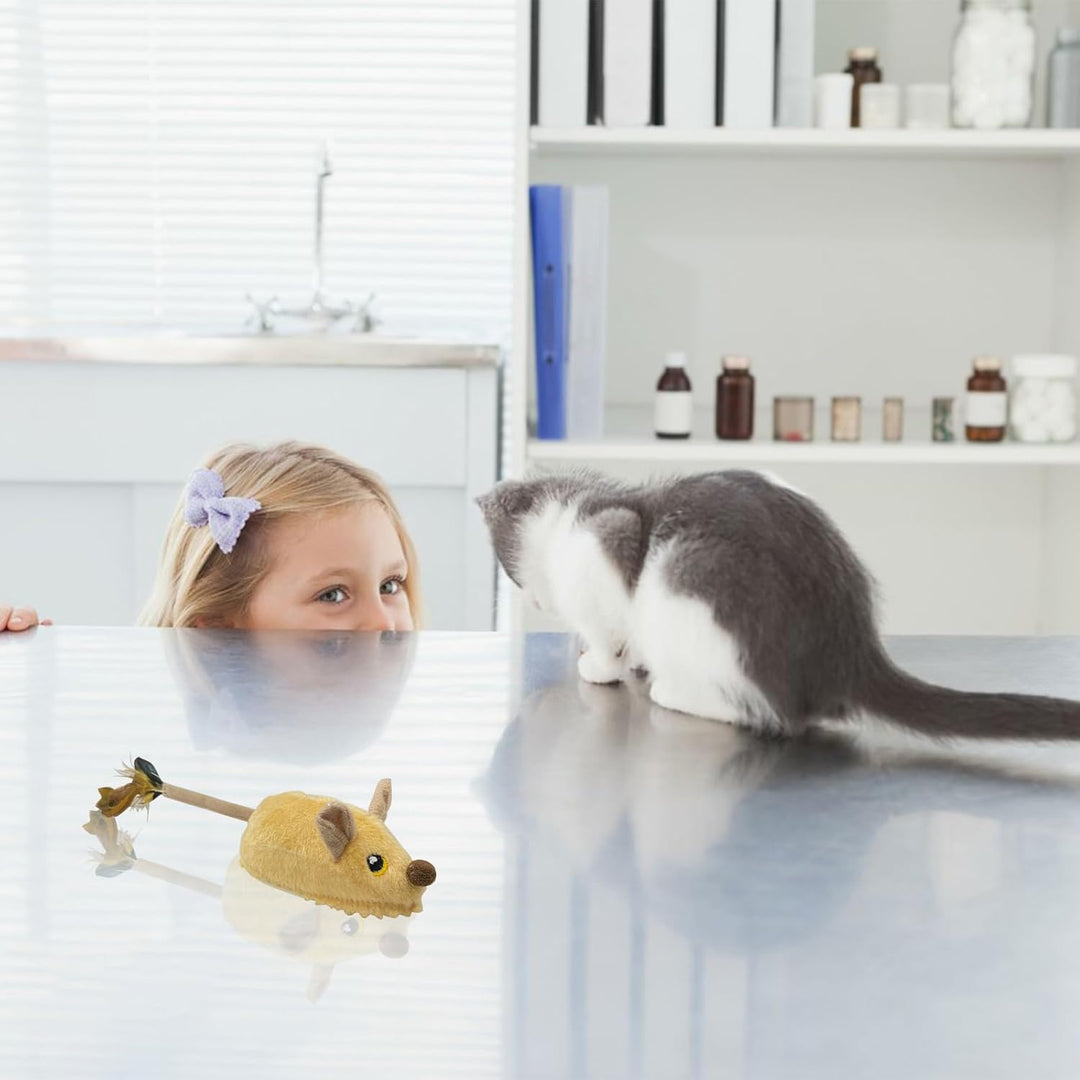 Katzenspielzeug Fernbedienung Maus, Katzenspielzeug Maus, Ferngesteuertes Katzenspielzeu-g, interakt