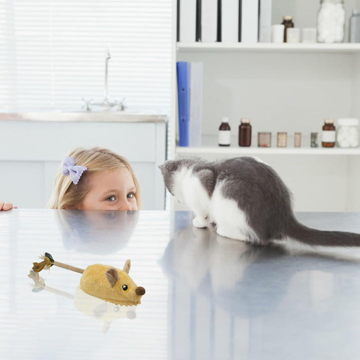 Katzenspielzeug Fernbedienung Maus, Katzenspielzeug Maus, Ferngesteuertes Katzenspielzeu-g, interakt