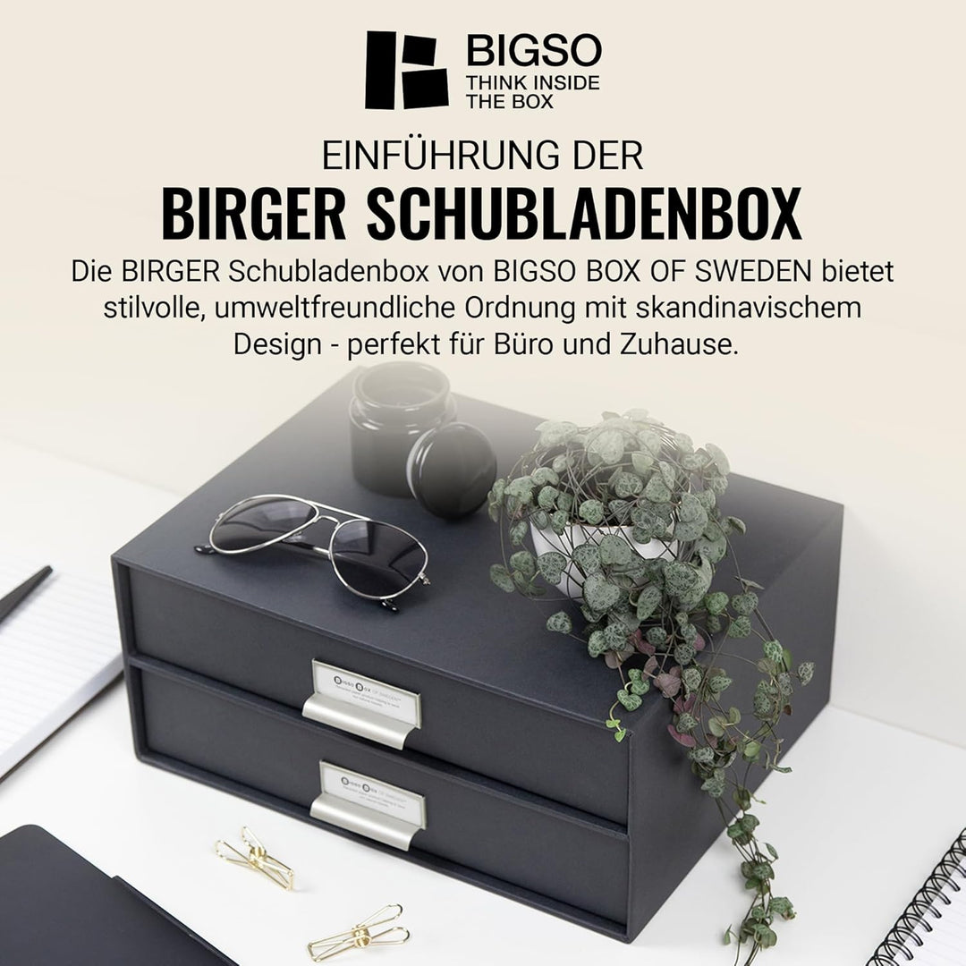 BIGSO BIRGER Schubladenbox – Aufbewahrungsbox mit 2 Schubladen – Schreibtisch Ablage für Dokumente &