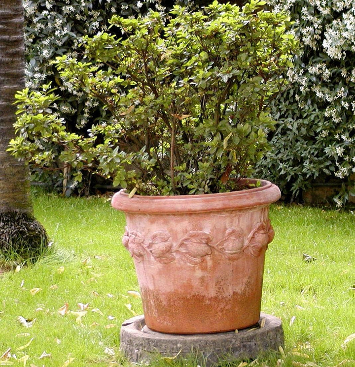 Blumentopf Pflanzgefäss Übertopf Terracotta FROSTFEST QUALITÄTSWARE Conca LIMONI (48cm), 48cm