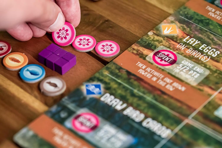 Stonemaier Games , Wingspan: Oceania Expansion , Board Game , Ages 14+ , 1-5 Players , 40-70 Minute
