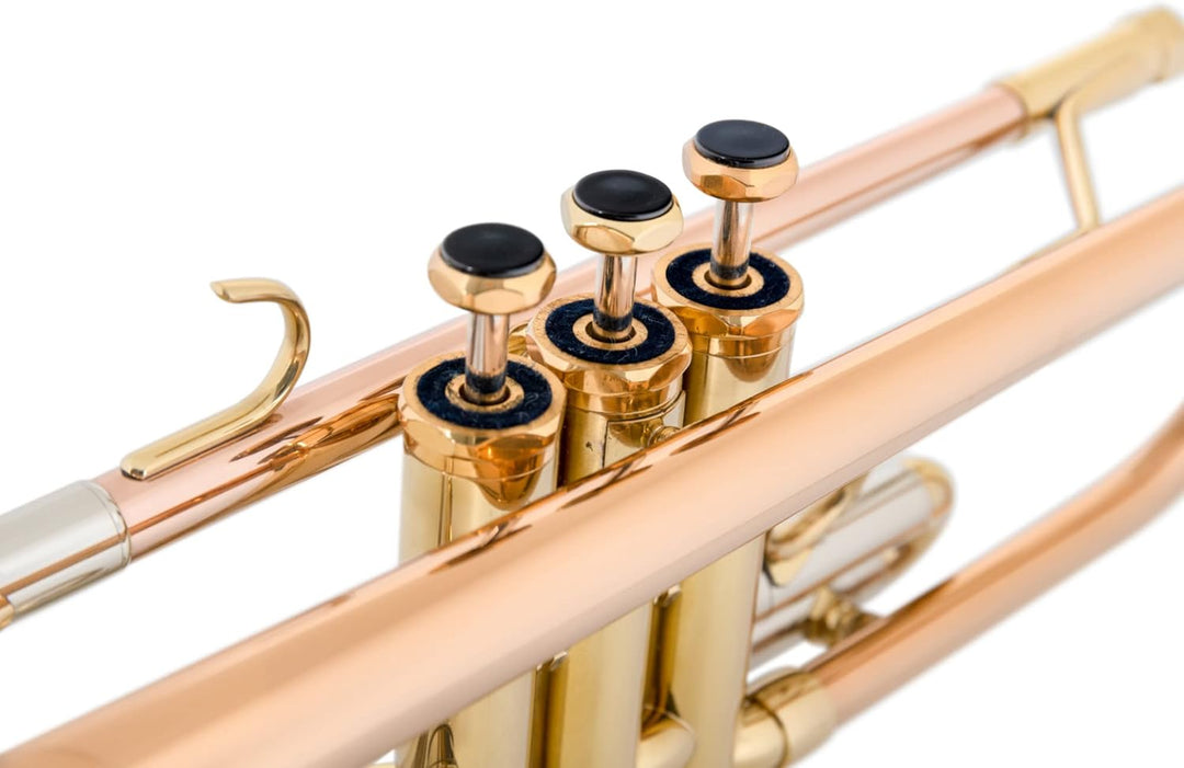 Lechgold TR-14G Bb-Trompete (für Einsteiger und Fortgeschrittene, Edelstahl-Ventile, inkl. Koffer, M