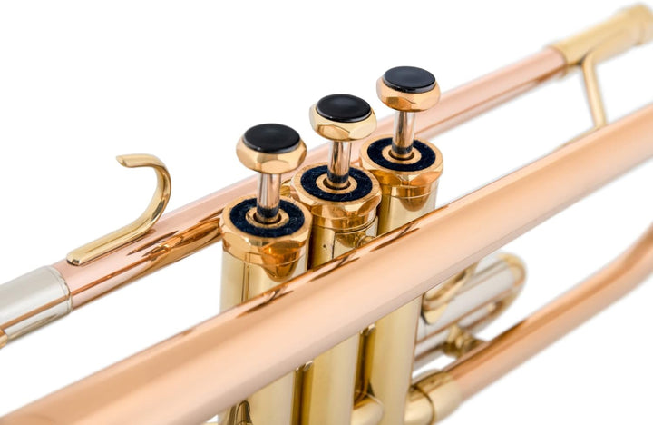 Lechgold TR-14G Bb-Trompete (für Einsteiger und Fortgeschrittene, Edelstahl-Ventile, inkl. Koffer, M