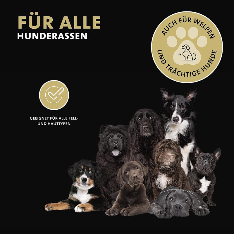 Peticare Anti-Schuppen Shampoo für Hunde | bei Juckreiz & Hautirritationen | für trockene & Sensible