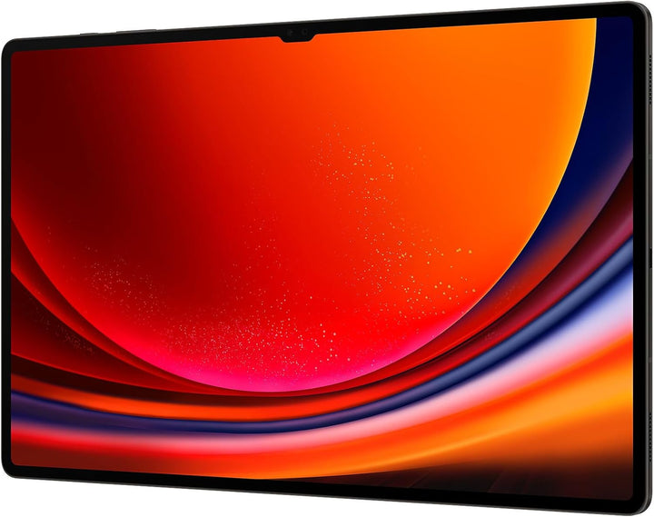 Samsung X910 Galaxy Tab S9 Ultra 512GB/12GB RAM WiFi graphite