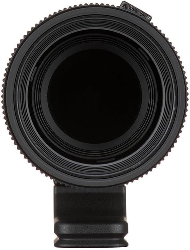70–200 mm F2.8 DG DN OS für Sony