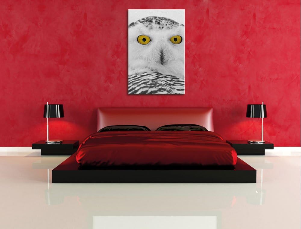 Pixxprint grosse Schnee Eule / 120x80cm Leinwandbild bespannt auf Holzrahmen/Wandbild Kunstdruck Dek