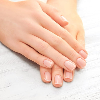 Vitabay Shea Nail Butter 2x 20 ml - Sheabutter Mit Biotin/Vitamin B7 - Nagelcreme Für Nagelhautpfleg