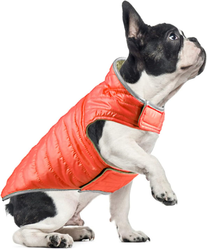 PETCUTE Reversible Hundemantel,Reflektierend Winterhundjacke Warme Welpen Weste wasserdichte Haustie