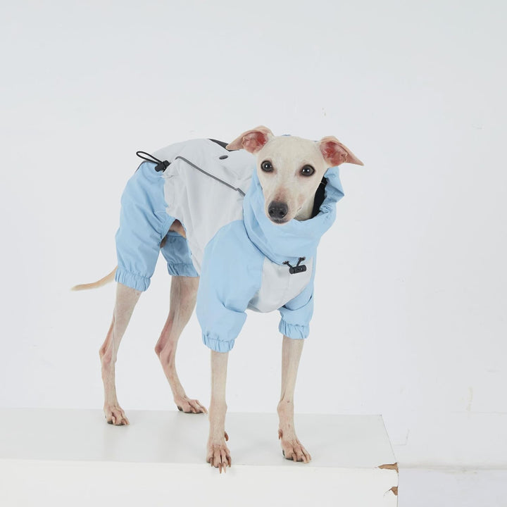 Dackel Regenmantel, wasserdichte 4-Bein Hundejacke, Leichter Outdoor Windbreaker für Mini Dackel(M(6