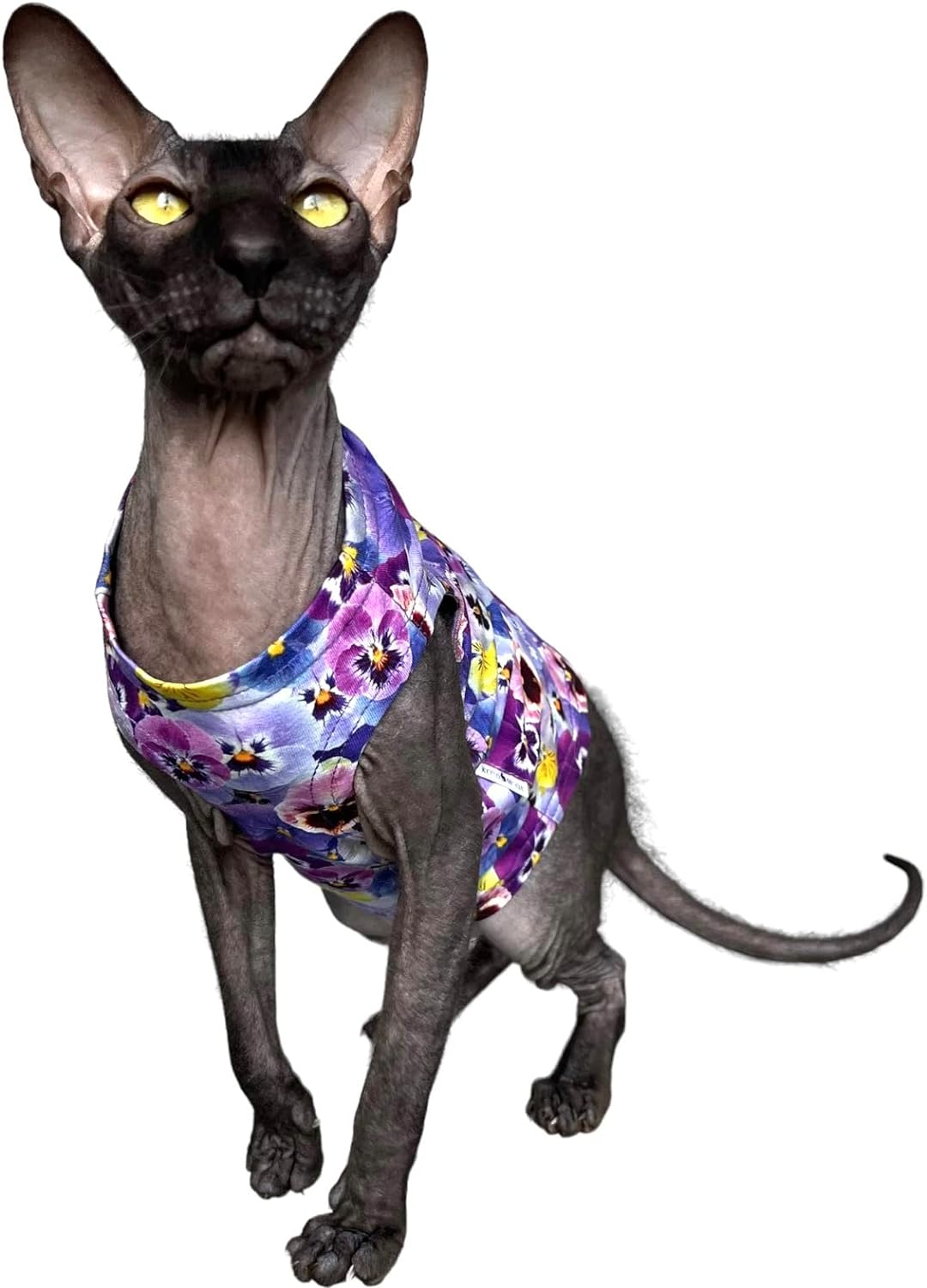 Kotomoda Katzen Kleidung Baumwolle Tank Stiefmьtterchen Sphynx Katzen (XS), XS