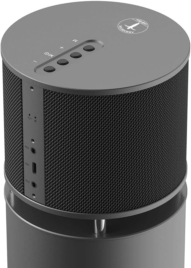 100W Bluetooth Lautsprecher, ABRAMTEK E600 High Power Wireless Lautsprecher mit Super Bass Subwoofer