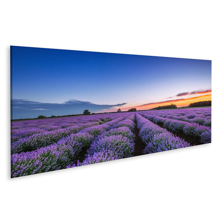 islandburner Bild auf Leinwand Sonnenaufgang Und Dramatische Wolken Über Lavendelfeld Bilder Wandbil