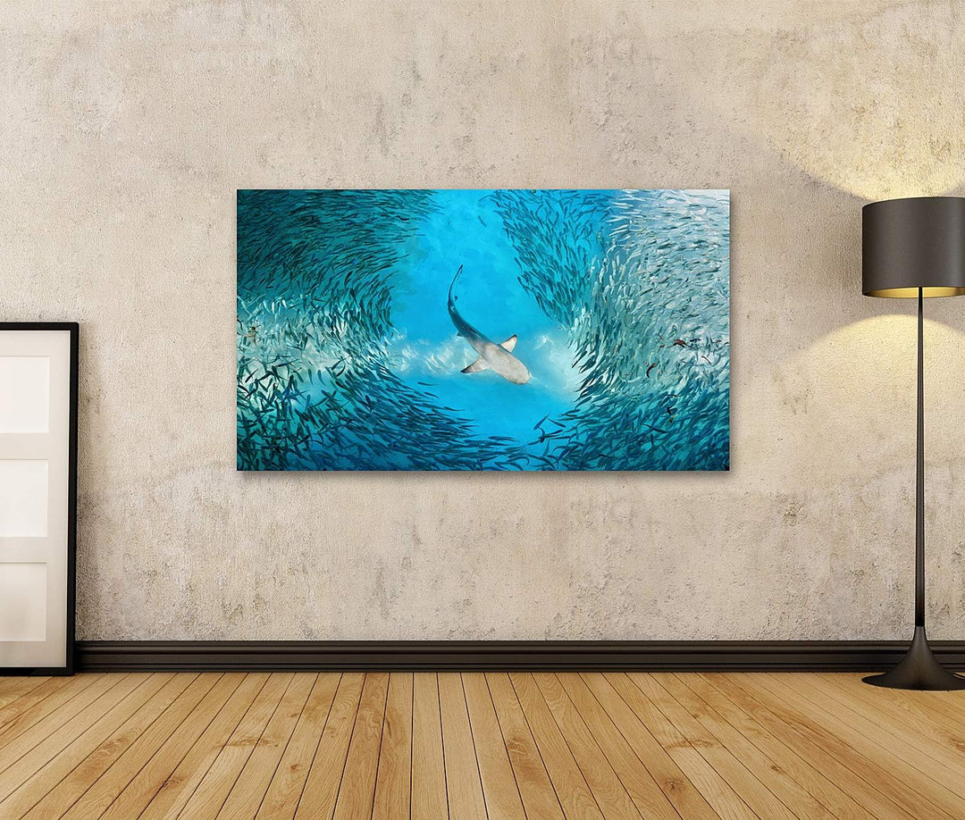 islandburner Bild auf Leinwand Hai Und Kleine Fische Im Ozean Bilder Wandbilder Poster Leinwand 100x