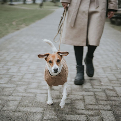 HUNTER Hundepullover MALMÖ,45, beige beige 45, beige 45