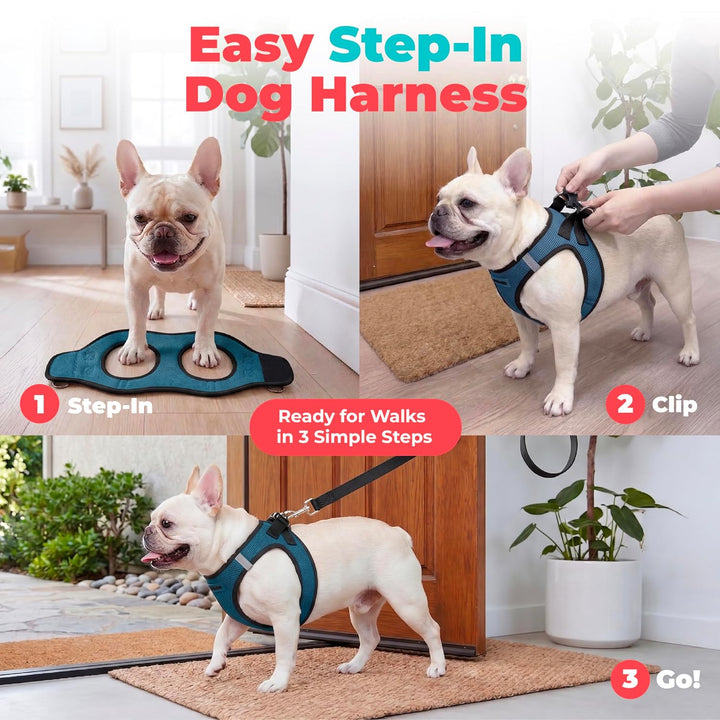 Best Pet Supplies Voyager Step-In Air Hundegeschirr – Allwetter-Netzgewebe für kleine und mittelgros