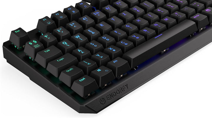 ENDORFY Thock TKL HU Red, Kailh Red Linear switches, TKL 80% Mechanical Keyboard, Hungarian Layout,