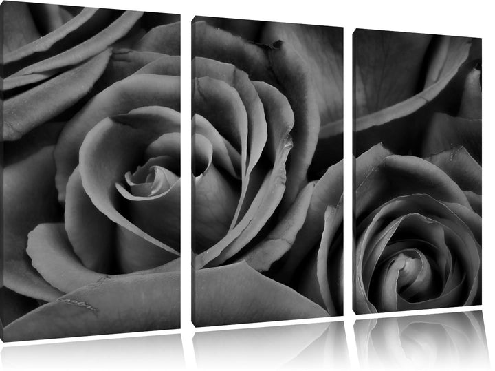 Pixxprint rote Rosen als Leinwandbild/Grösse: 3 Teilig (120x80) cm/Wandbild/Kunstdruck/fertig bespan