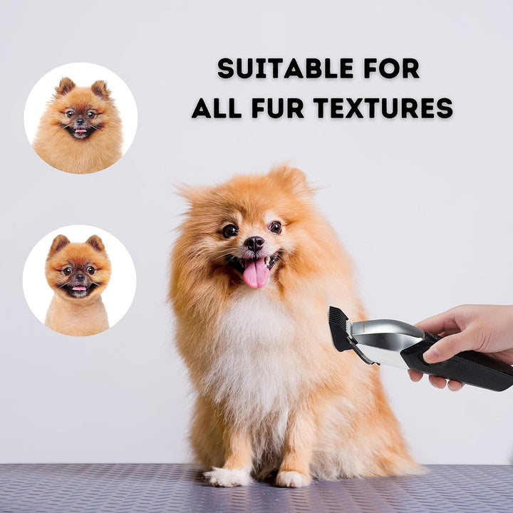 BarberBoss Hundefriseur mit 8 Kammaufsätzen, schlankes Design mit 4 Geschwindigkeitsstufen, 100% was
