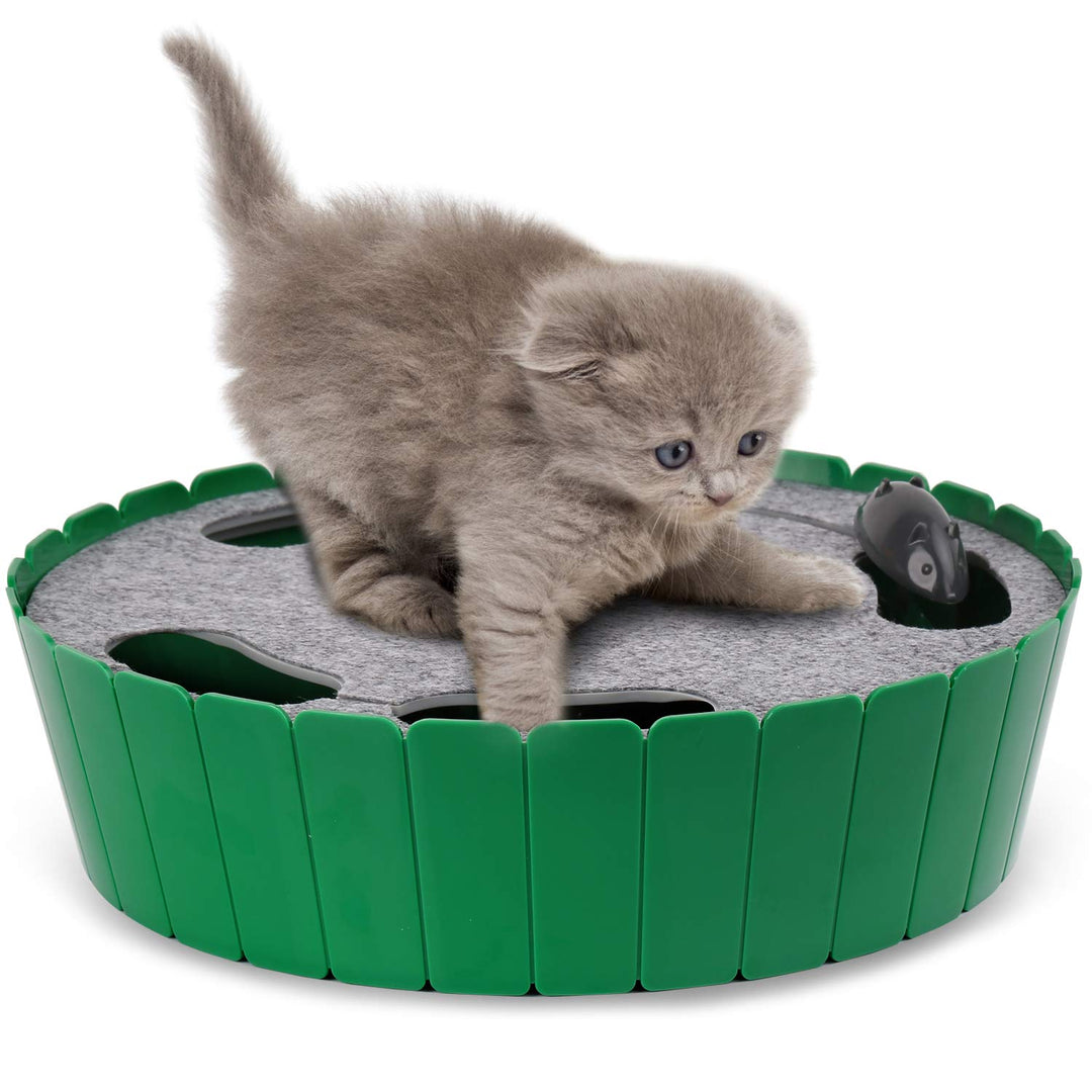 Pawaboo Katzenspielzeug Elektrische Maus, Interaktiv Kätzchen Spielzeug Katzenbett Kratzmatte Katzen