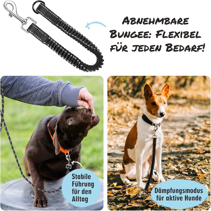 Aystkniet Bungee Schleppleine für Hunde 3M 5M 9M 10M 15M 20M 30M, Schockabsorbierende Hundeleine mit