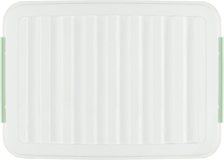 Cetomo 55 l x 4 Kunststoff-Aufbewahrungsbox, grün, Tragetasche, Organisationsbehälter mit robustem D