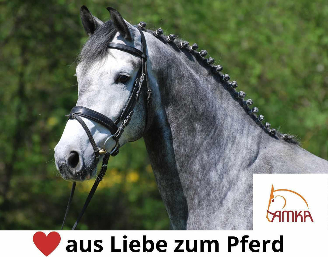 AMKA Wassertrense doppelt gebrochen massiv Edelstahl Stärke 18 mm, Ringe 65 mm 14,5, 14,5