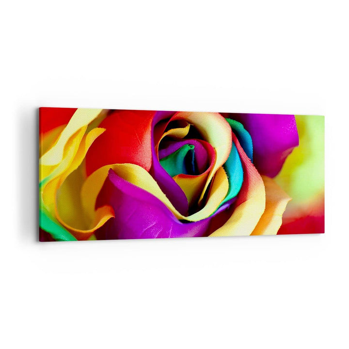 Wandbilder Dekoration Wohnzimmer Blume Farbe Rose Panorama Bilder auf Leinwand 120x50cm Leinwandbild