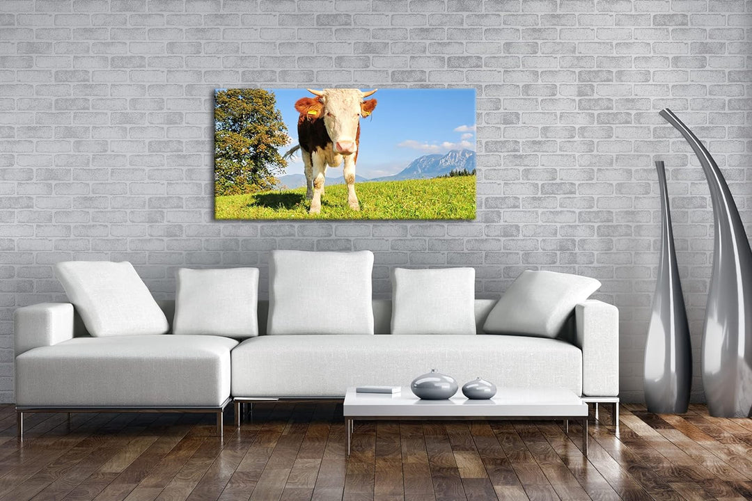edle Kuh auf der Weide Panorama 80x40 cm als Leinwandbild, Motiv fertig gerahmt auf Echtholzrahmen,