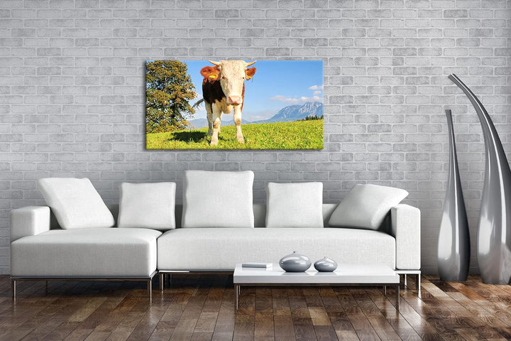 edle Kuh auf der Weide Panorama 80x40 cm als Leinwandbild, Motiv fertig gerahmt auf Echtholzrahmen,